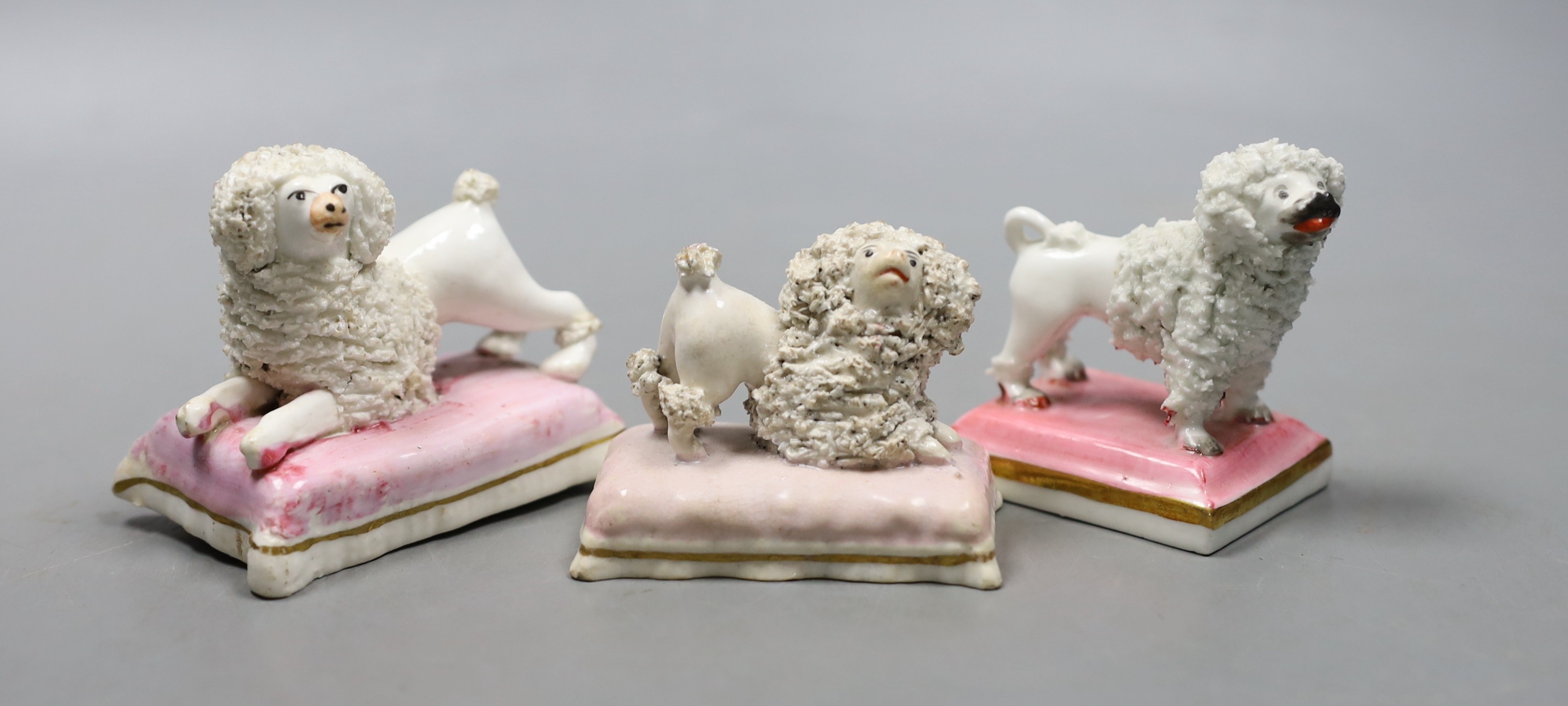 Three Staffordshire porcelain models of poodles, c.1835–50, each on a pink cushion base, largest 7.5 cm long, Cf. Dennis G Rice, Dogs in English porcelain, colour plate 82, Provenance- Dennis G Rice collection